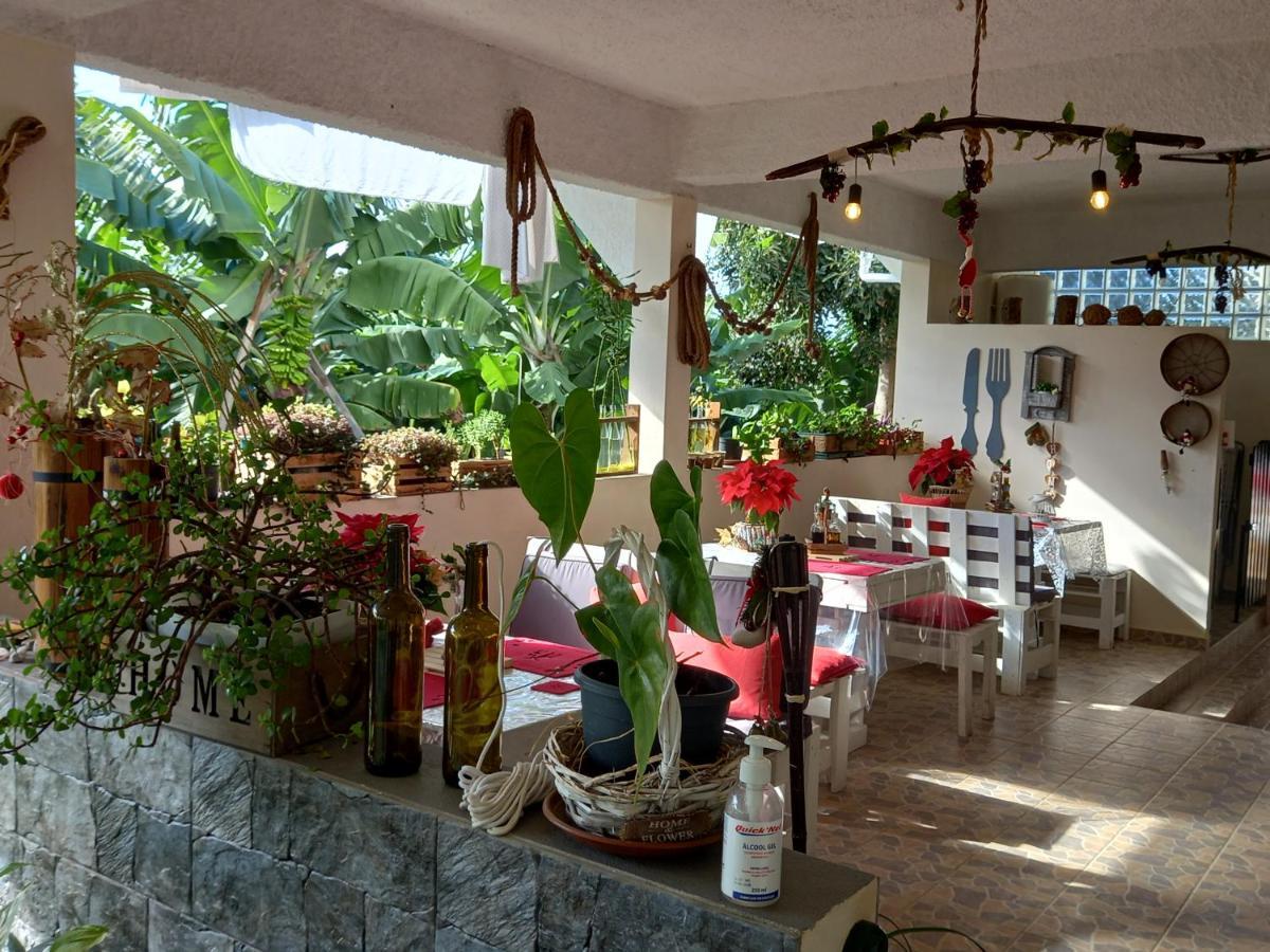 Tabua Village Ribeira Brava Exterior photo